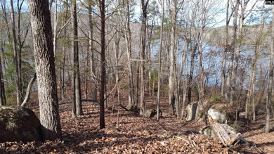 Your lakeside retreat awaits! This 1.78 acre waterfront lot on - photo 4