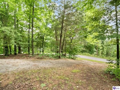 Furnished Cabin on Lake Barkley, KY
Seasonal Lake Views - photo 34