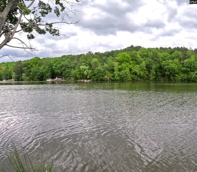 Your lakeside retreat awaits! This 1.78 acre waterfront lot on - photo 5