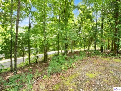 Furnished Cabin on Lake Barkley, KY
Seasonal Lake Views - photo 36