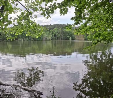 Your lakeside retreat awaits! This 1.78 acre waterfront lot on - photo 7