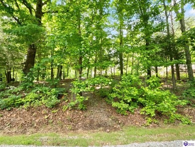 Furnished Cabin on Lake Barkley, KY
Seasonal Lake Views - photo 37
