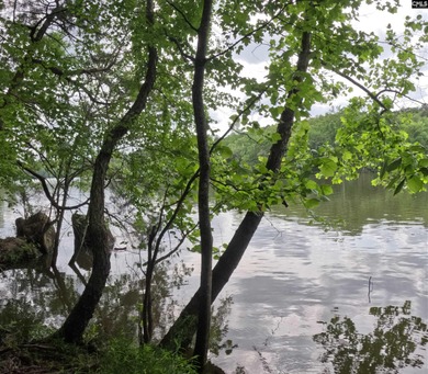 Your lakeside retreat awaits! This 1.78 acre waterfront lot on - photo 8