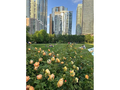 Nestled in the heart of Lakeshore East, this stunning - photo 39