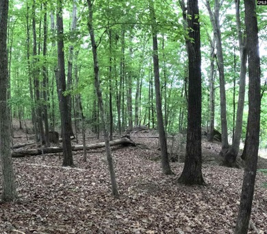 Your lakeside retreat awaits! This 1.78 acre waterfront lot on - photo 10