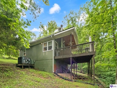 Furnished Cabin on Lake Barkley, KY
Seasonal Lake Views - photo 40