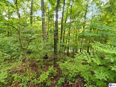 Furnished Cabin on Lake Barkley, KY
Seasonal Lake Views - photo 42