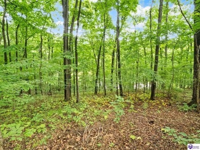 Furnished Cabin on Lake Barkley, KY
Seasonal Lake Views - photo 43