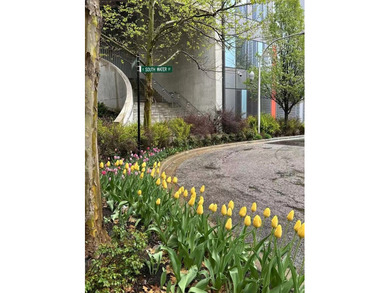 Nestled in the heart of Lakeshore East, this stunning - photo 44