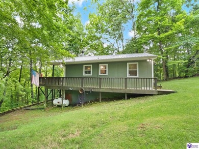 Furnished Cabin on Lake Barkley, KY
Seasonal Lake Views - photo 45