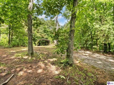Furnished Cabin on Lake Barkley, KY
Seasonal Lake Views - photo 46