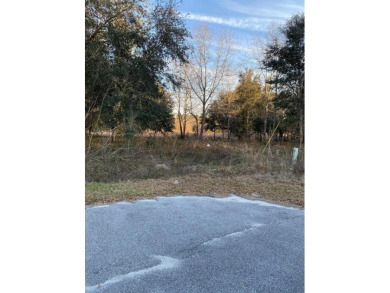 Lake Marion Lot For Sale in Eutawville South Carolina