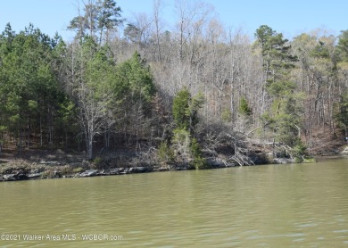 Smith Lake (Ryan Creek) One of the only lots available in this st - Lake Lot For Sale in Crane Hill, Alabama