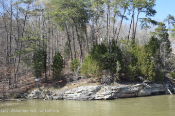 Smith Lake (Ryan Creek) Large, wooded lot with almost 200 feet of - Lake Lot For Sale in Crane Hill, Alabama