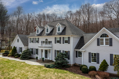 Grand Open Plan Lake home w/Classic Design - photo 1