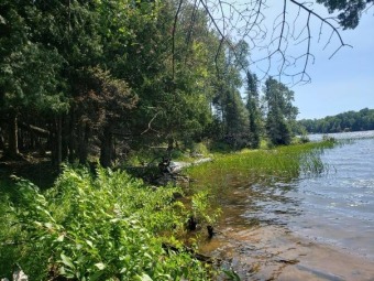 Fisher Lake - Iron County Acreage For Sale in Mercer Wisconsin