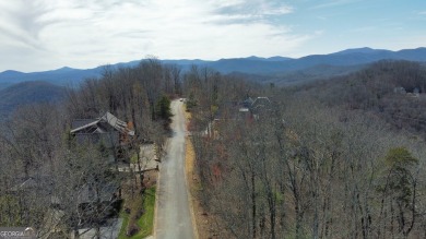 Lake Lot For Sale in Clayton, Georgia