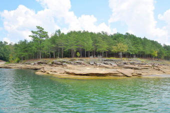 Unrestricted, Deep Water Year Round, Smith Lake, 1191+/- Ft WF - Lake Acreage For Sale in Arley, Alabama