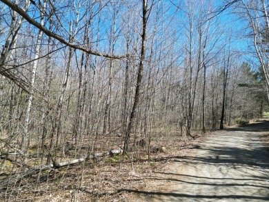 Lake Acreage For Sale in Lee, Maine