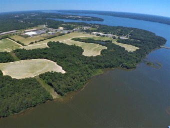 Lake Eufaula Acreage For Sale in Eufaula Alabama