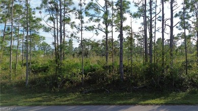 Port Charlotte Waterway Area Lot For Sale in Port Charlotte Florida