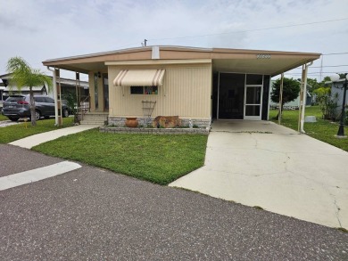 Lake Home For Sale in St. Petersburg, Florida