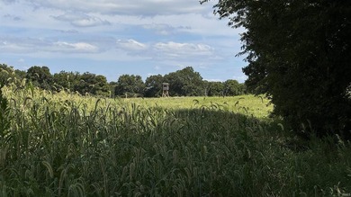 Discover this expansive ridge-top tillable farm, perfectly - photo 13