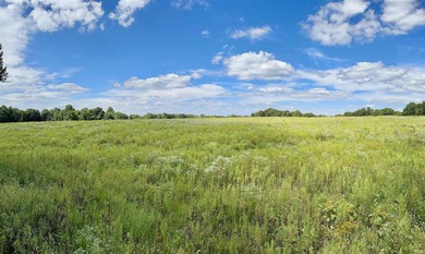 Discover this expansive ridge-top tillable farm, perfectly - photo 15