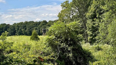 Discover this expansive ridge-top tillable farm, perfectly - photo 16