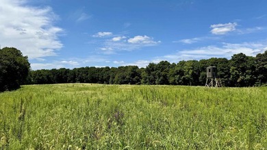 Discover this expansive ridge-top tillable farm, perfectly - photo 17
