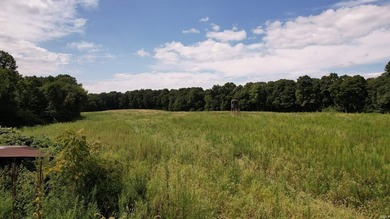 Discover this expansive ridge-top tillable farm, perfectly - photo 20