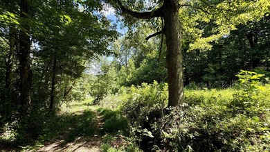 Discover this expansive ridge-top tillable farm, perfectly - photo 23