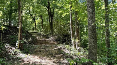 Discover this expansive ridge-top tillable farm, perfectly - photo 24