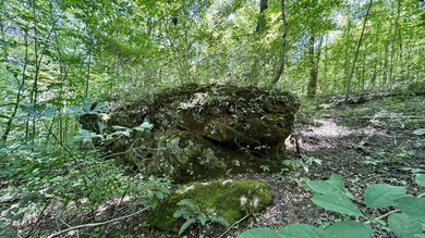 Discover this expansive ridge-top tillable farm, perfectly - photo 25