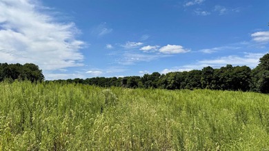 Discover this expansive ridge-top tillable farm, perfectly - photo 26