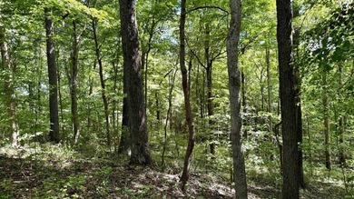 Discover this expansive ridge-top tillable farm, perfectly - photo 28