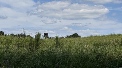 Discover this expansive ridge-top tillable farm, perfectly - photo 29