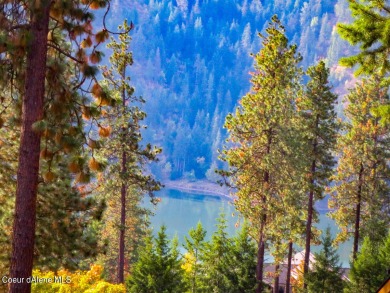 Fernan Lake Acreage For Sale in Coeur d Alene Idaho