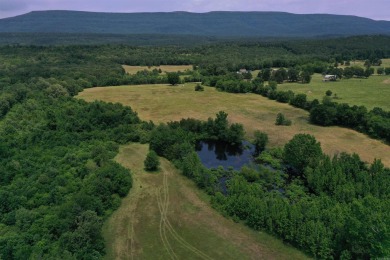 Lake Acreage For Sale in Waveland, Arkansas