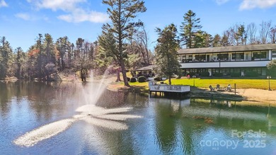 Lake Nearby Condo For Sale in Flat Rock North Carolina