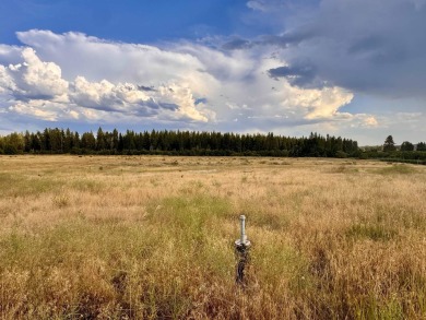 (private lake, pond, creek) Acreage For Sale in Deer Park Washington