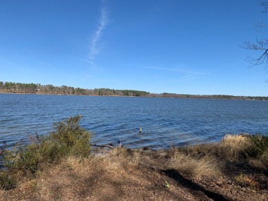 1.3 Acre Panoramic Waterfront! - photo 8