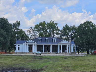 (private lake, pond, creek) Home For Sale in Ravenel South Carolina