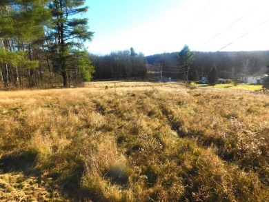 Ridgebury Lake Lot For Sale in Sayre Pennsylvania