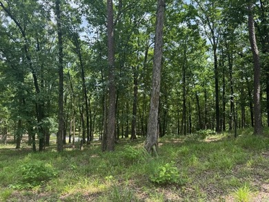 (private lake, pond, creek) Acreage For Sale in Mena Arkansas