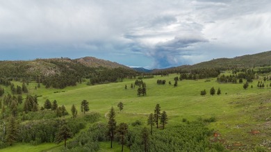 Rist Canyon Ranch is a rare combination of beauty, productivity - photo 2