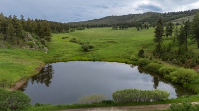 Rist Canyon Ranch is a rare combination of beauty, productivity - photo 5