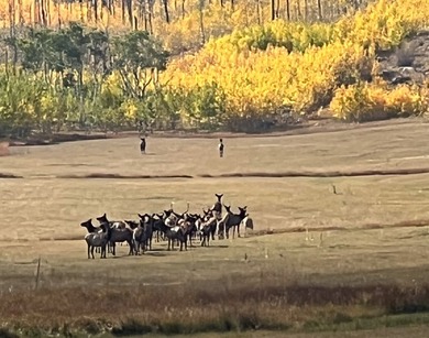 Rist Canyon Ranch is a rare combination of beauty, productivity - photo 7