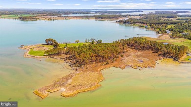 Spectacular Waterfront Peninsula - 21.87 Acres in Dorchester - photo 16