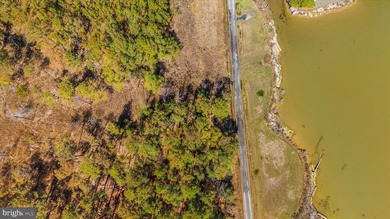 Spectacular Waterfront Peninsula - 21.87 Acres in Dorchester - photo 18